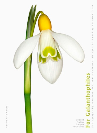 For Galanthophiles