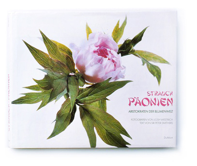 Strauchpäonien
